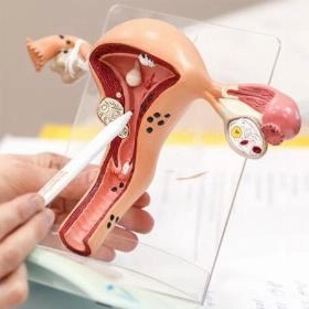 Гіменопластика