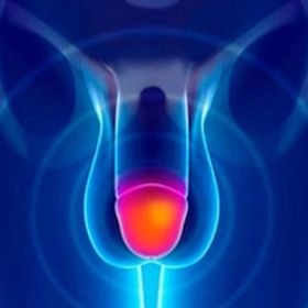 Обрізання крайньої плоті