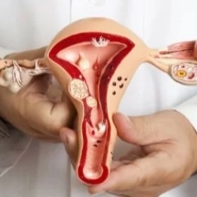 Ендокринна гінекологія